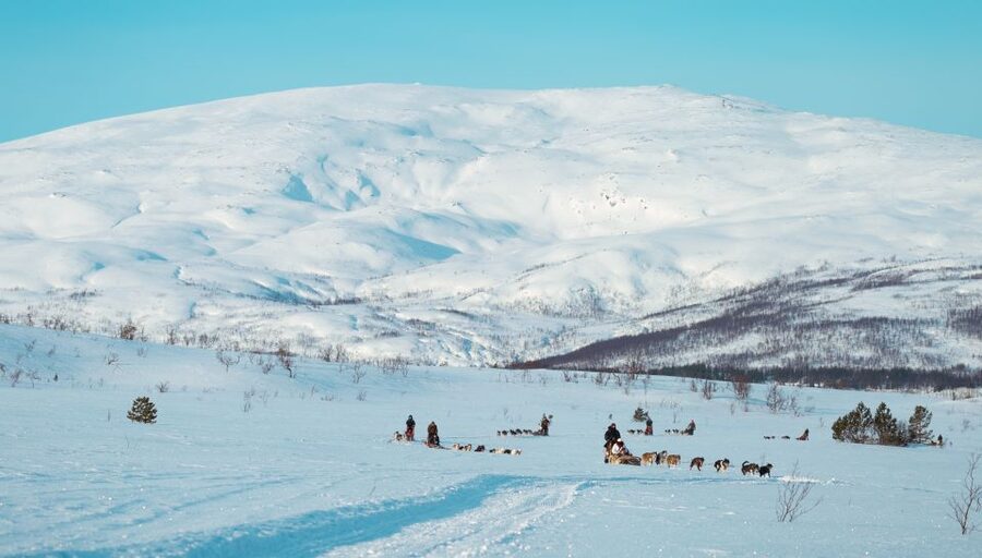 Tromsø: Husky Sled Self-Drive with Traditional Lunch - Taking the first turn behind the huskies