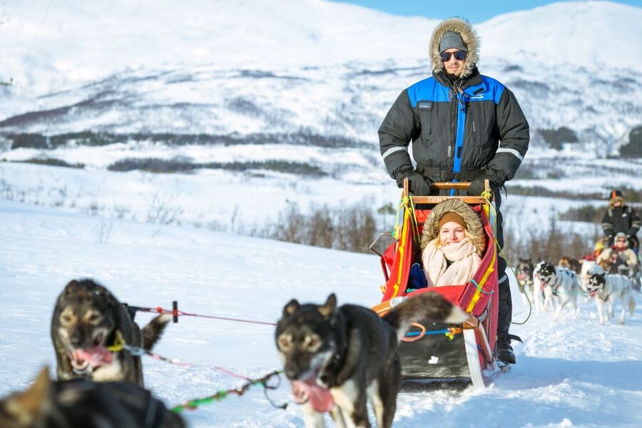 Tromsø: Husky Sled Self-Drive with Traditional Lunch - Meeting the dogs after the ride