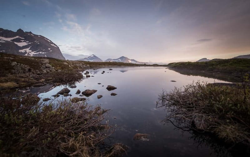 Tromsø: Midnight Sun Hike in the wilderness - The viewpoint and the long sunset
