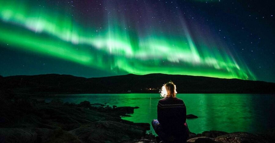 Tromsø: Northern Lights Chase Minibus Tour - Key points to know before you book