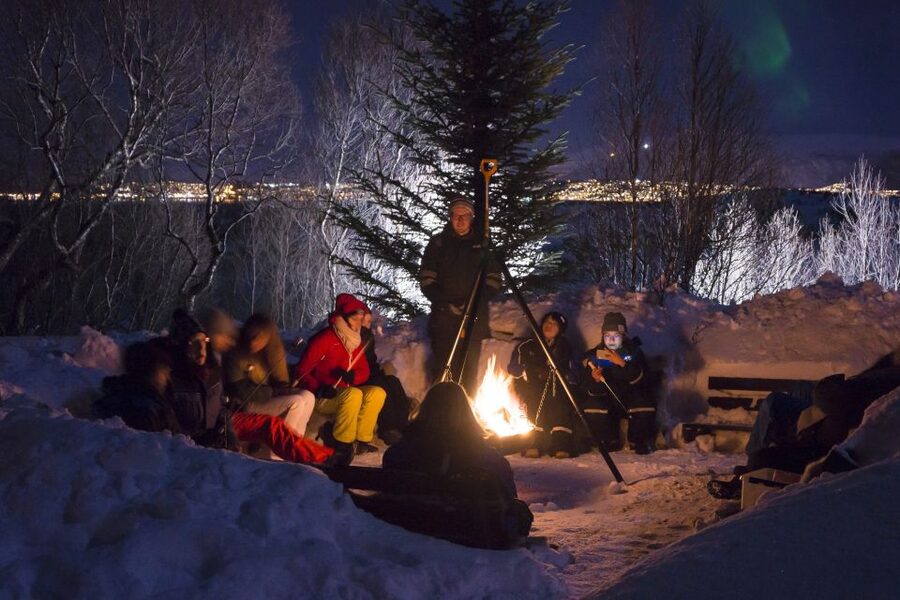 Tromsø: Northern Lights Husky Visit with Traditional Dinner - From the Radisson Blu to the husky camp