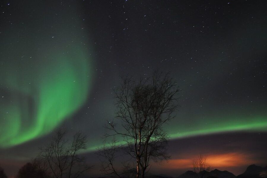 Tromsø: Northern Lights Husky Visit with Traditional Dinner - Stories, questions, and the Sami lavvo