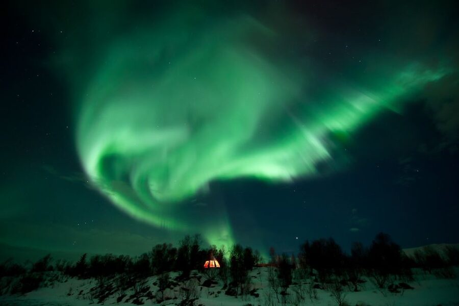 Tromsø: Northern Lights Husky Visit with Traditional Dinner - Meeting more than 200 huskies