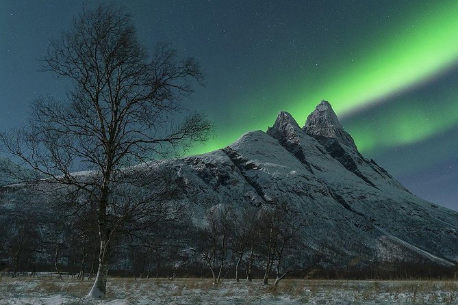 Tromso Northern Lights Minibus Chase Small Group Tour with Photos - Photos that are more useful than phone snapshots