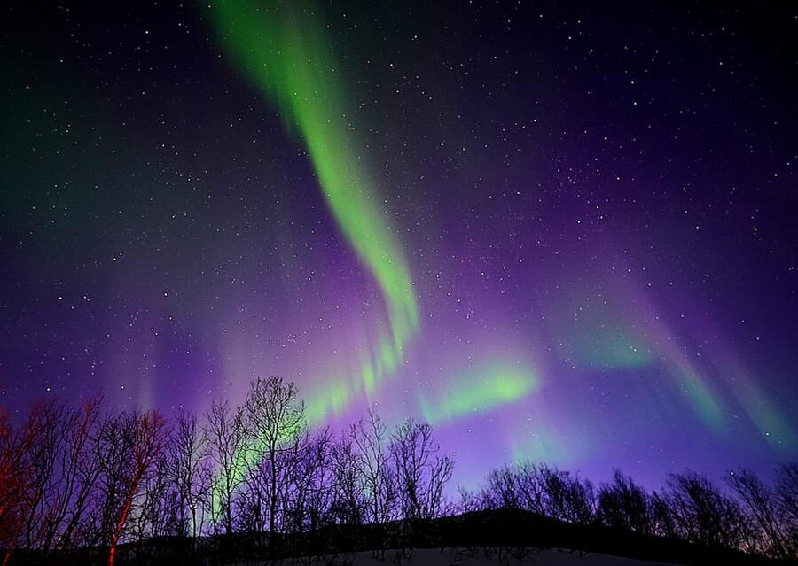 Tromso: Northern Lights Minibus Tour with Campfire - Why this tour keeps chasing the sky