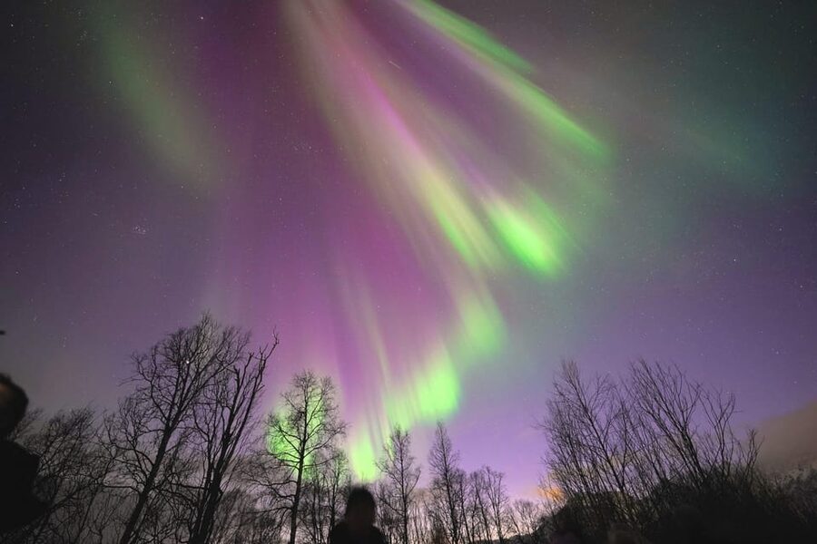 Tromso: Northern Lights Minibus Tour with Campfire - Meeting in central Tromsø