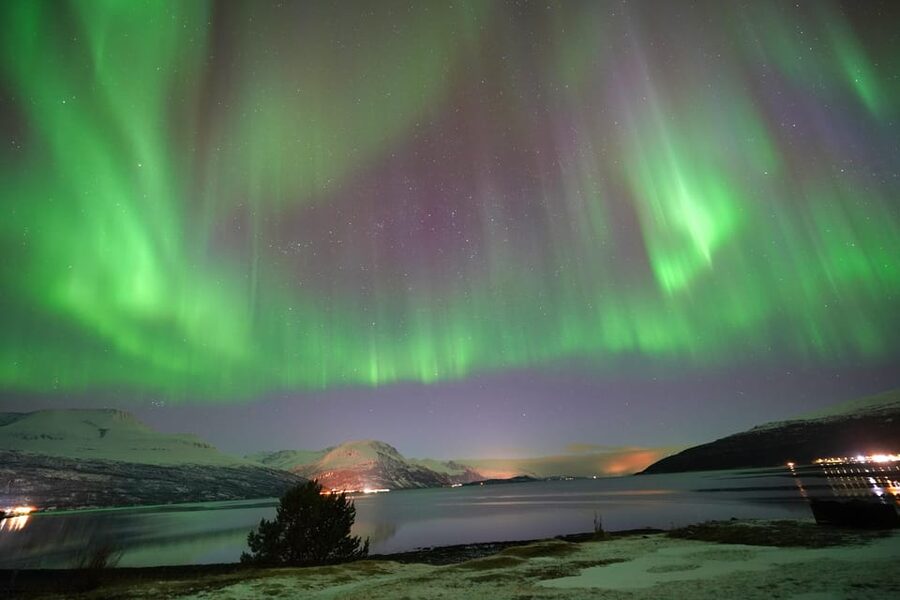 Tromso: Northern Lights Minibus Tour with Campfire - The first drive beyond Tromsø’s city lights