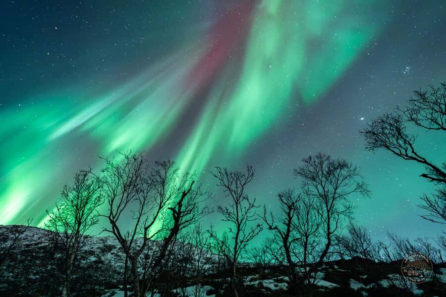Tromsø: Northern Lights Photography Tour - Keeping warm in real Arctic conditions