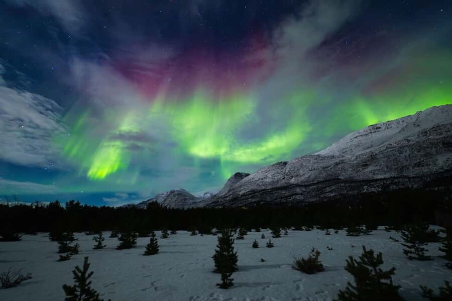 Tromsø: Northern Lights Photography Tour - How the guides shape the evening