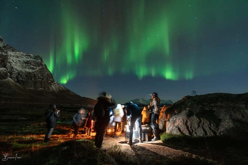 Tromsø: Northern Lights Safari - The important details at a glance