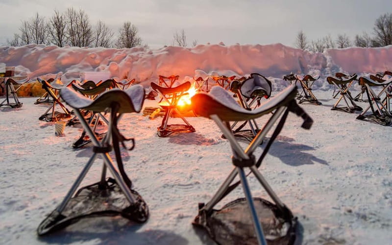 Tromsø: Northern Lights Safari - What happens at the campfire