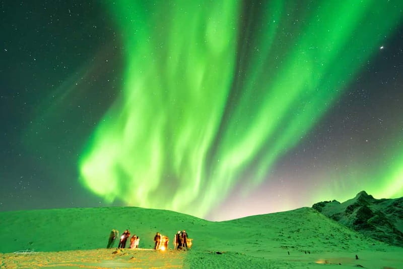 Tromsø: Northern Lights Safari - The photography is a real part of the value