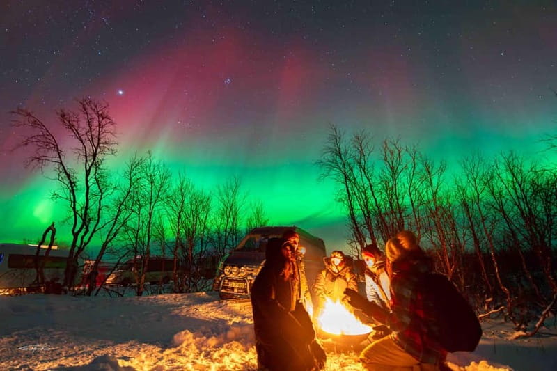 Tromsø: Northern Lights Safari - Who will enjoy this safari most