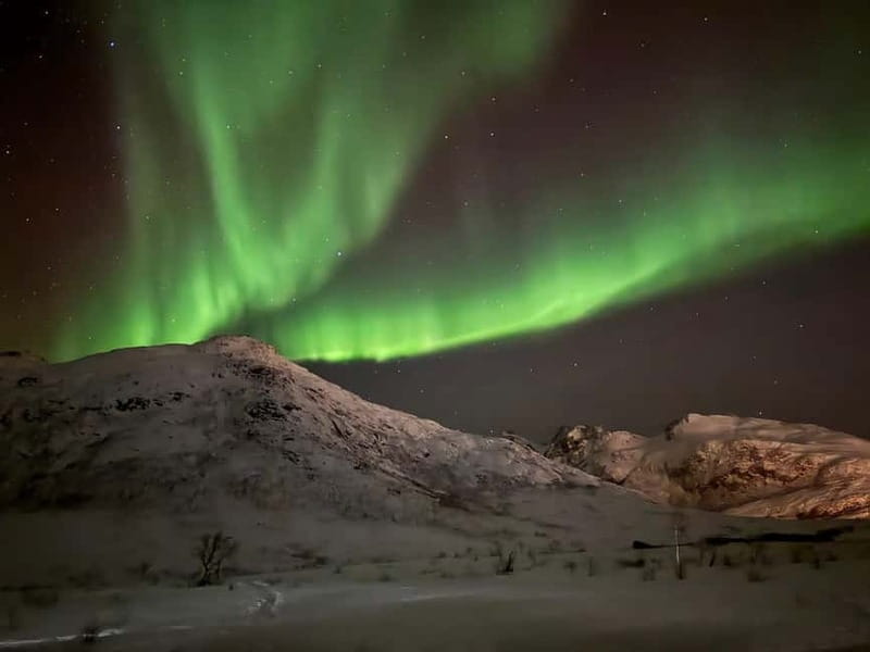 Tromsø: Northern Lights Tour - A bonfire, hot food, and a real break from the cold