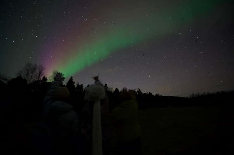 Tromsø: Northern Lights Tour - Who will enjoy this tour most?