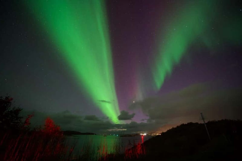 Tromsø: Northern Lights Tour - Practical details before you book
