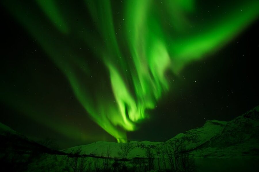 Tromsø: Northern Lights Tour with Free Professional Portrait - Who should book this Northern Lights tour?