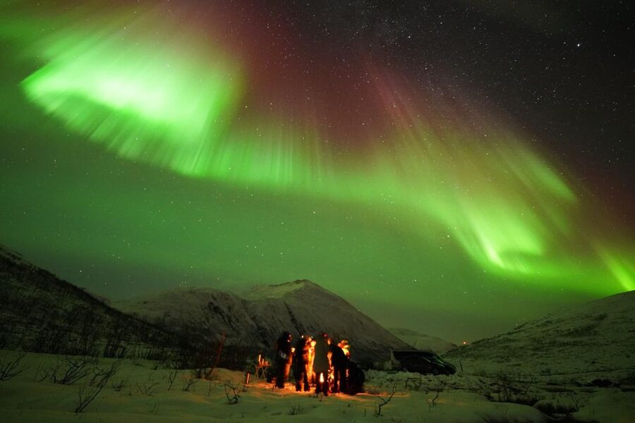 Tromsø: Northern Lights Tour with Free Professional Portrait - At the viewing stop, patience pays off