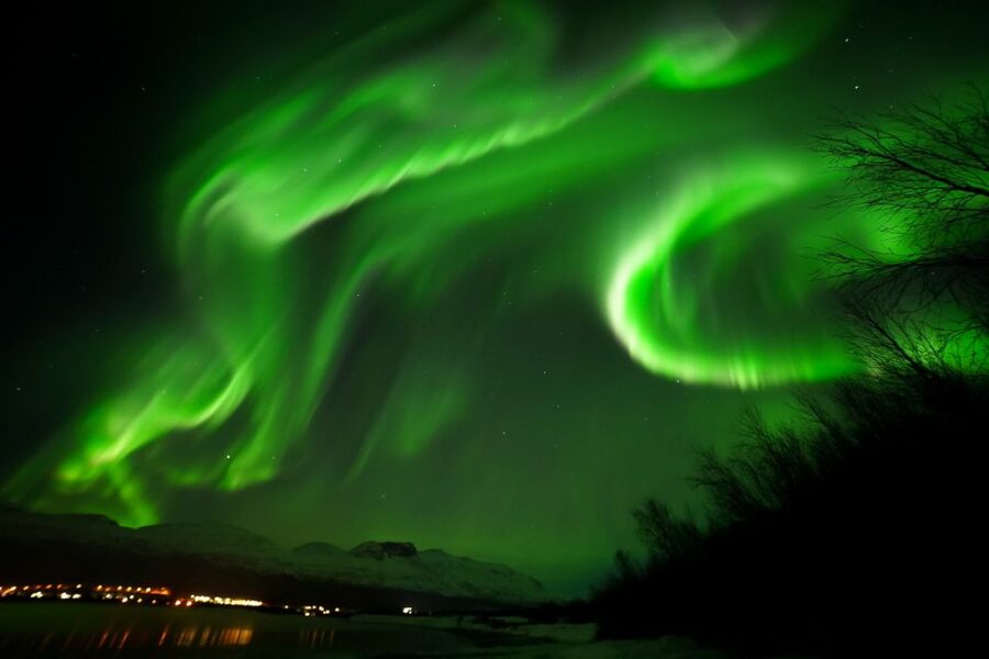 Tromsø: Northern Lights Tour with Free Professional Portrait - The $181 price: fair for a long search