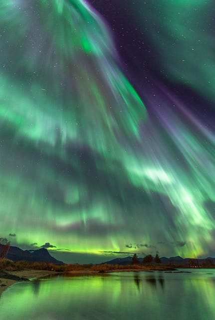 Tromsø: Northern Lights Tour with Local Guide and Photos - Riding the Mercedes Sprinter through the Arctic night