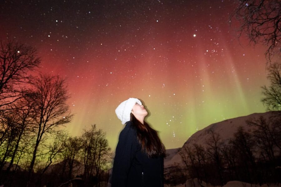 Tromsø: Northern Lights Tour with Local Guide and Photos - Waiting for green, pink, and red light