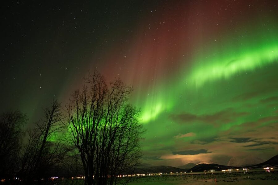 Tromsø: Northern Lights Tour with Local Guide and Photos - Price and value at $162