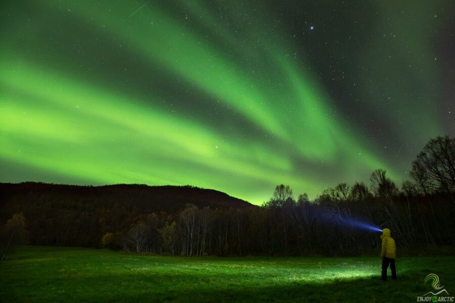 Tromsø: Northern Lights Trip with Campfire and Snacks - Why this Tromsø aurora chase works