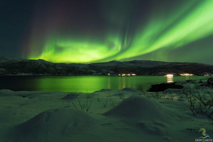 Tromsø: Northern Lights Trip with Campfire and Snacks - Campfire, knekkebrød, and carrot cake