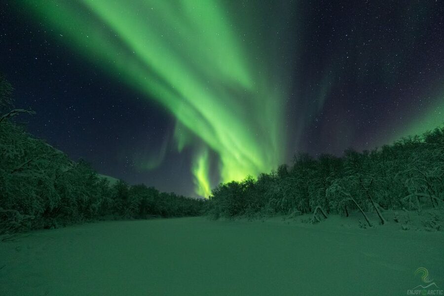 Tromsø: Northern Lights Trip with Campfire and Snacks - What a successful night can look like