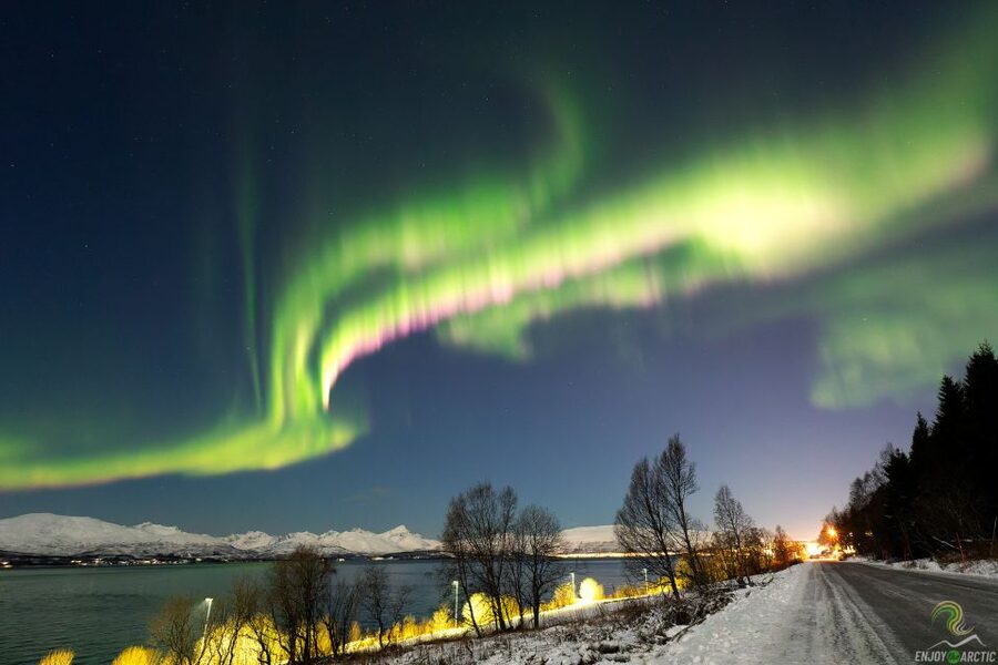 Tromsø: Northern Lights Trip with Campfire and Snacks - Who should book this northern lights trip?