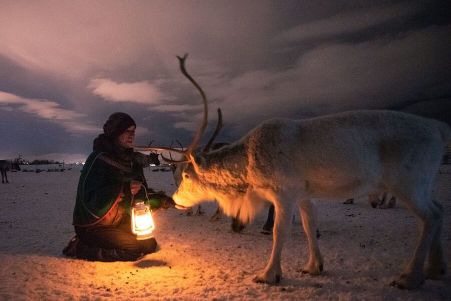 Tromsø: Reindeer Camp Dinner with Chance of Northern Lights - Sámi stories, history, and joik