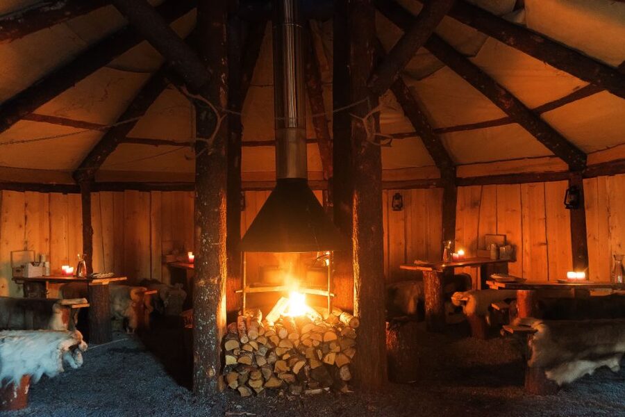 Tromsø: Reindeer Sled, Dinner, and Chance of Northern Lights - What this Tromsø reindeer evening is really about