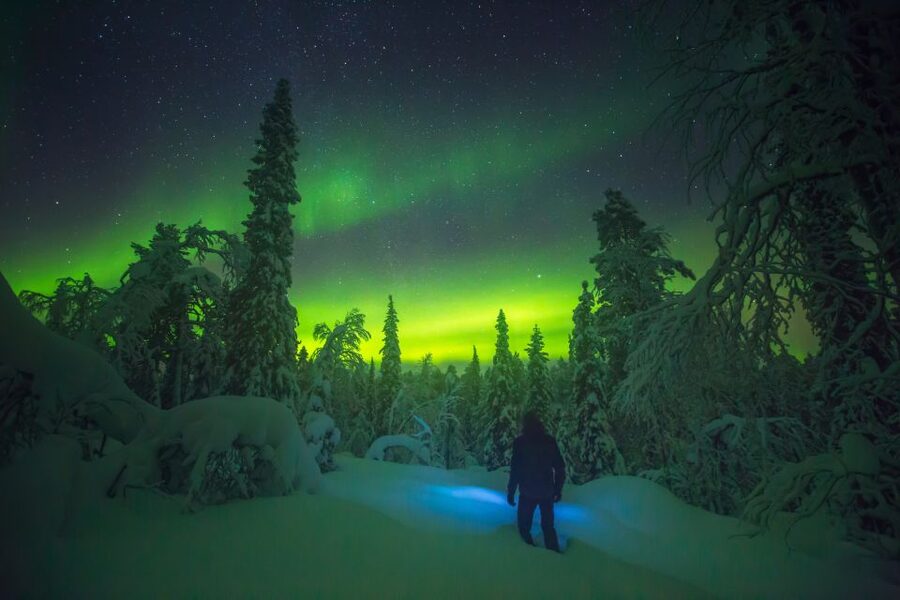 Tromsø: Reindeer Sled, Dinner, and Chance of Northern Lights - A candlelit gamme and a three-course Sami dinner