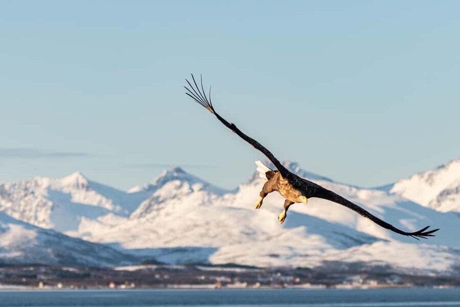 Tromsø’s Top-Rated Fjord & Fishing Cruise – All-Inclusive - Weather, views, and the practical side of photography