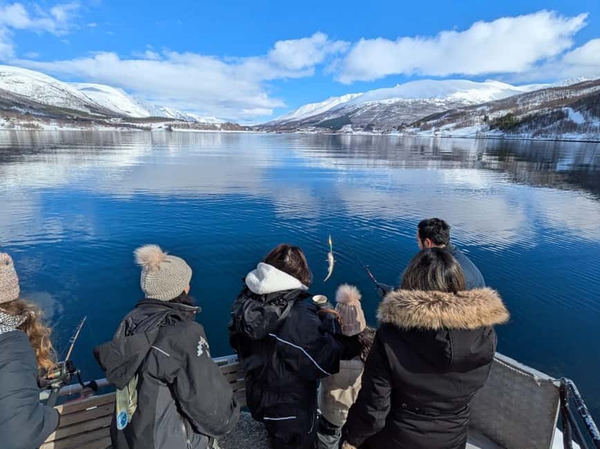 Tromsø’s Top-Rated Fjord & Fishing Cruise – All-Inclusive - Ryøya, where the wildlife watching begins