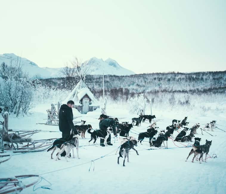 Tromsø: Self-Drive Husky Dog Sledding Adventure - Getting dressed for Arctic weather