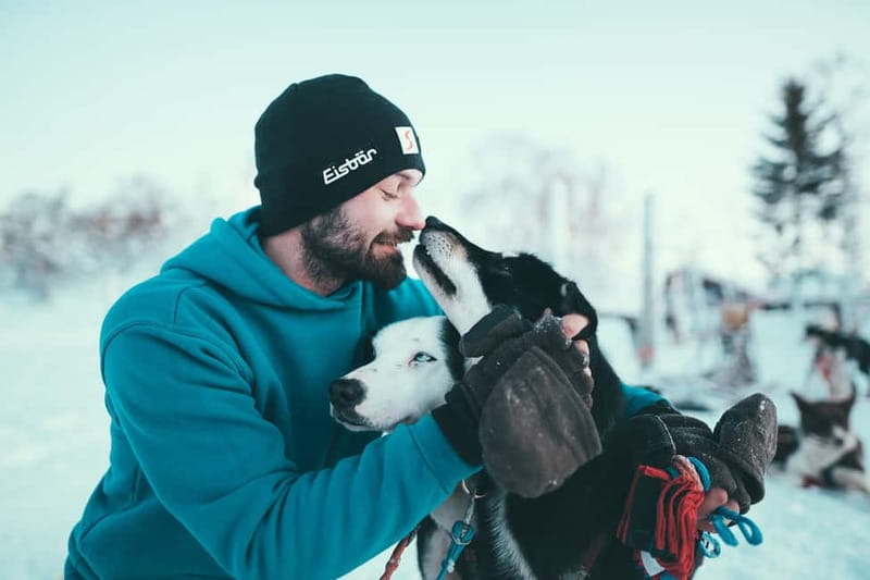 Tromsø: Self-Drive Husky Dog Sledding Adventure - Meeting at Scandic Ishavshotel