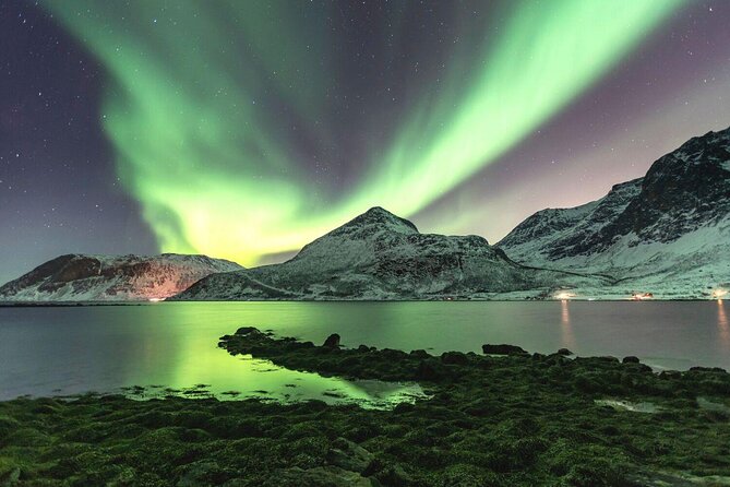 Tromso Snowshoeing - Valley, Fjord Views, Wildlife, Meal & Pickup - Leaving Tromsø for the Arctic countryside