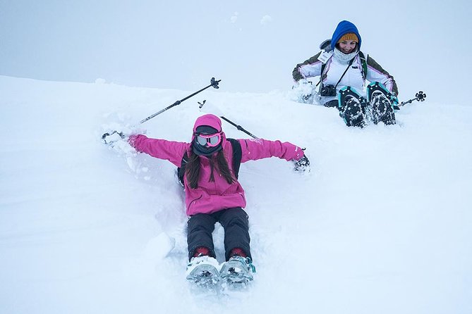 Tromso Snowshoeing - Valley, Fjord Views, Wildlife, Meal & Pickup - Fjords, mountains, and the value of good weather