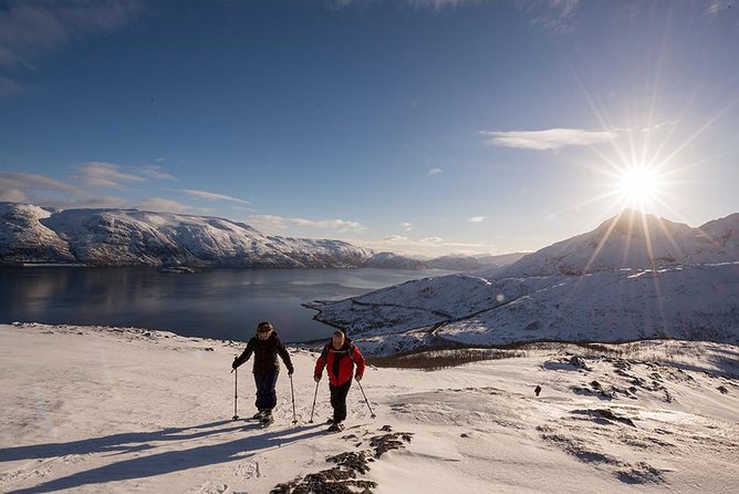 Tromso Snowshoeing - Valley, Fjord Views, Wildlife, Meal & Pickup - Lunch at the top, plus hot drinks