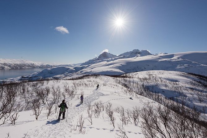 Tromso Snowshoeing - Valley, Fjord Views, Wildlife, Meal & Pickup - Who should book this Tromsø snowshoe tour?