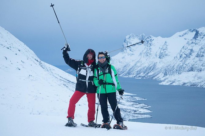 Tromso Snowshoeing - Valley, Fjord Views, Wildlife, Meal & Pickup - Should you book it?