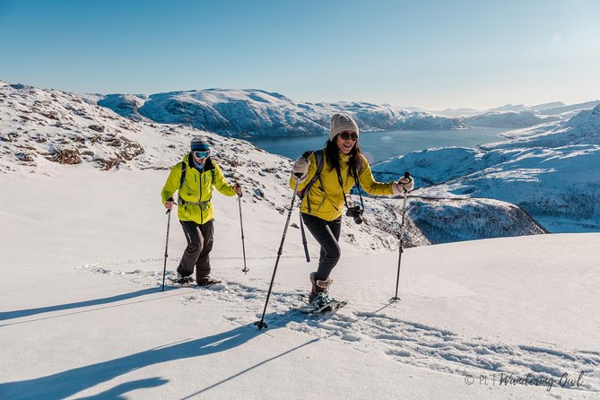 Tromso Snowshoeing - Valley, Fjord Views, Wildlife, Meal & Pickup - Wildlife watching without false promises