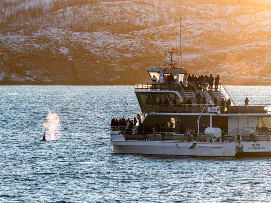 Tromsø: Whale Watching Tour by Hybrid-Electric Boat - The long ride and the seasickness question