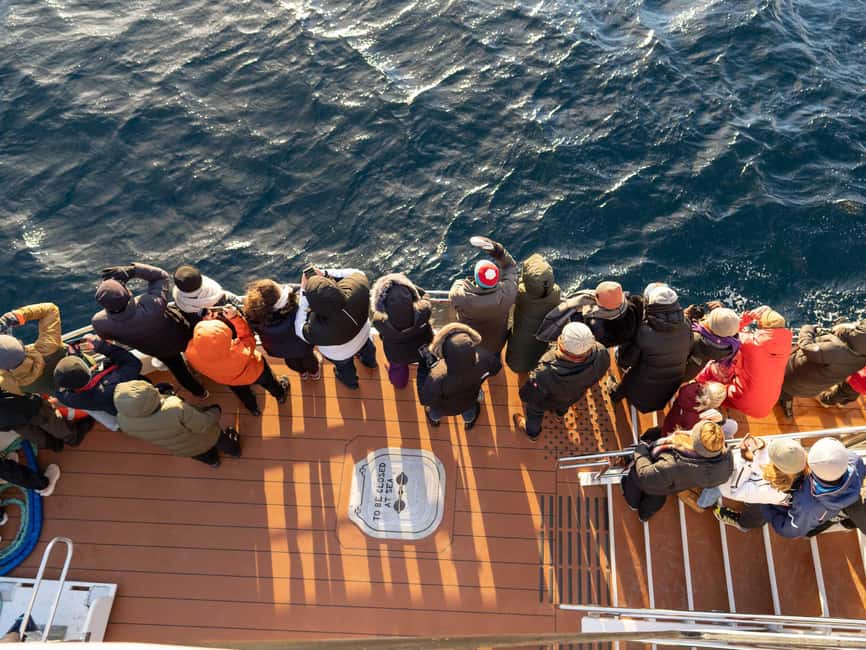 Tromsø: Whale Watching Tour by Hybrid-Electric Boat - The route’s smaller moments