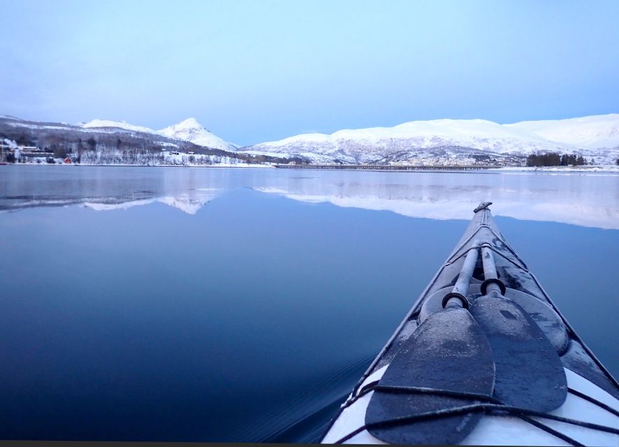 Tromsø: Winter Sea Kayaking Tour with Wildlife Sightings - Why winter is a good time to kayak near Tromsø