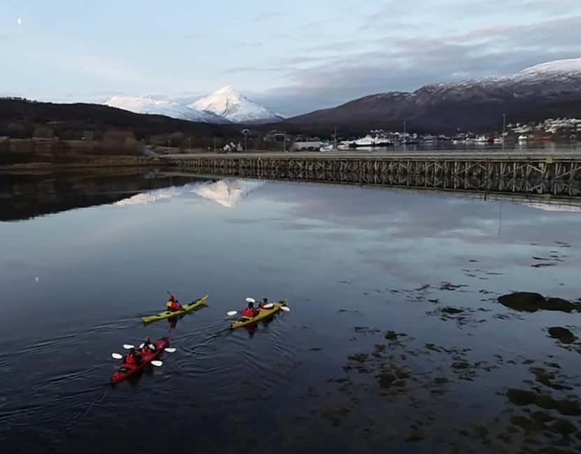 Tromsø: Winter Sea Kayaking Tour with Wildlife Sightings - Paddling through snowy fjords and islands