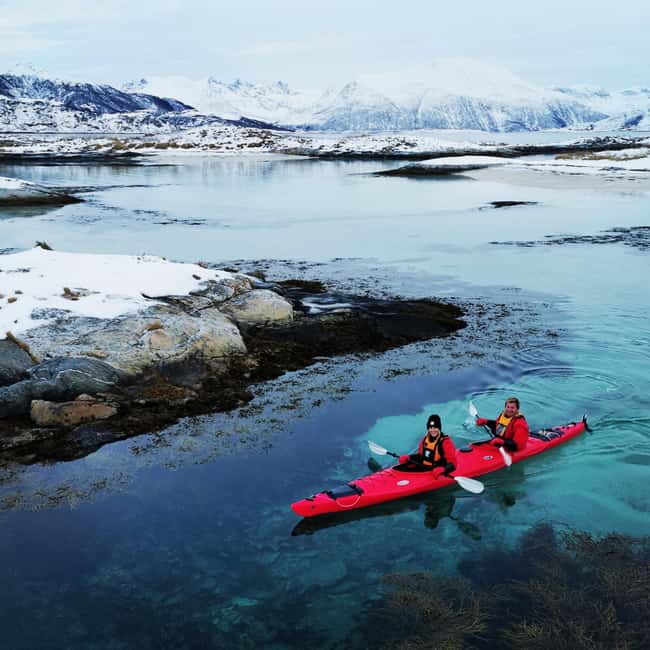 Tromsø: Winter Sea Kayaking Tour with Wildlife Sightings - Wildlife sightings on the water