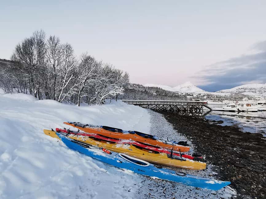 Tromsø: Winter Sea Kayaking Tour with Wildlife Sightings - The fire, hot drink, and proper finish
