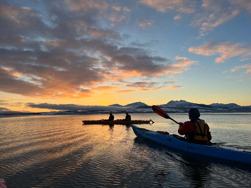 Tromsø: Winter Sea Kayaking Tour with Wildlife Sightings - Is $191 a fair price?